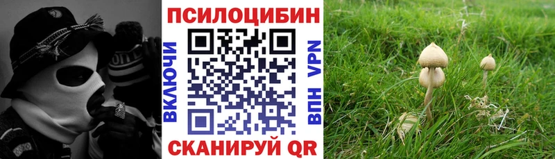 Псилоцибиновые грибы мицелий Юрьевец